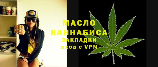 дмт Дмитровск