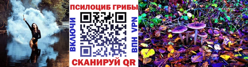 OMG   Инсар  Псилоцибиновые грибы прущие грибы 